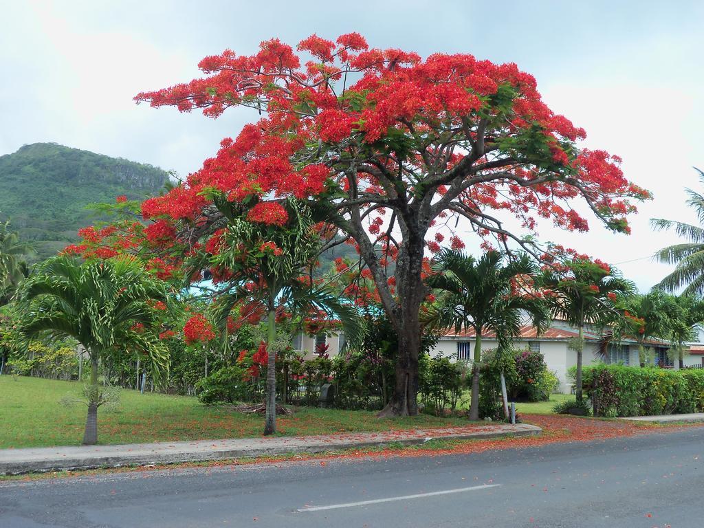 Coral Sands Apartments Rarotonga Exterior photo